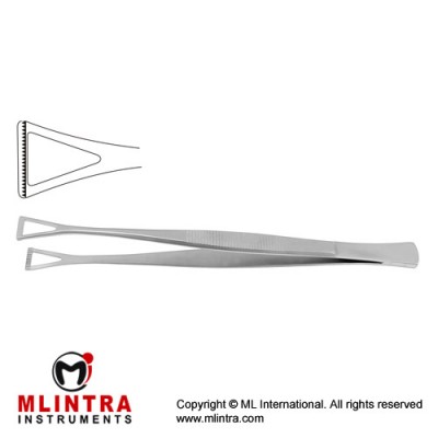 Collin-Duval Intestinal Forceps Stainless Steel, 20 cm - 8" Width 27.0 mm